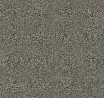 Ковровая плитка Modulyss Millennium Nxtgen Millennium Nxtgen 817 фото 1 | FLOORDEALER